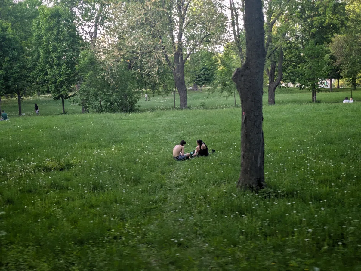 ethereal park duo seated in grass