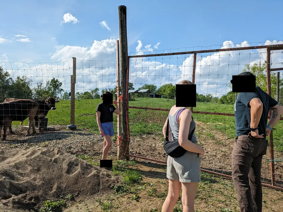 farm friends