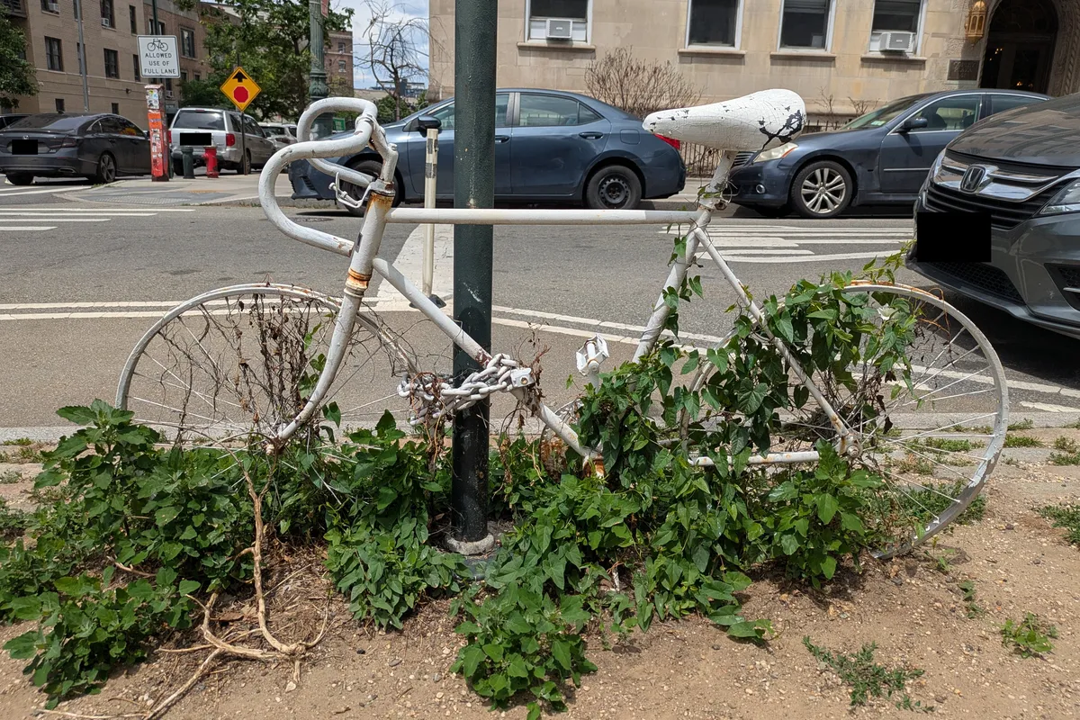 ghost bike with vines growing up it