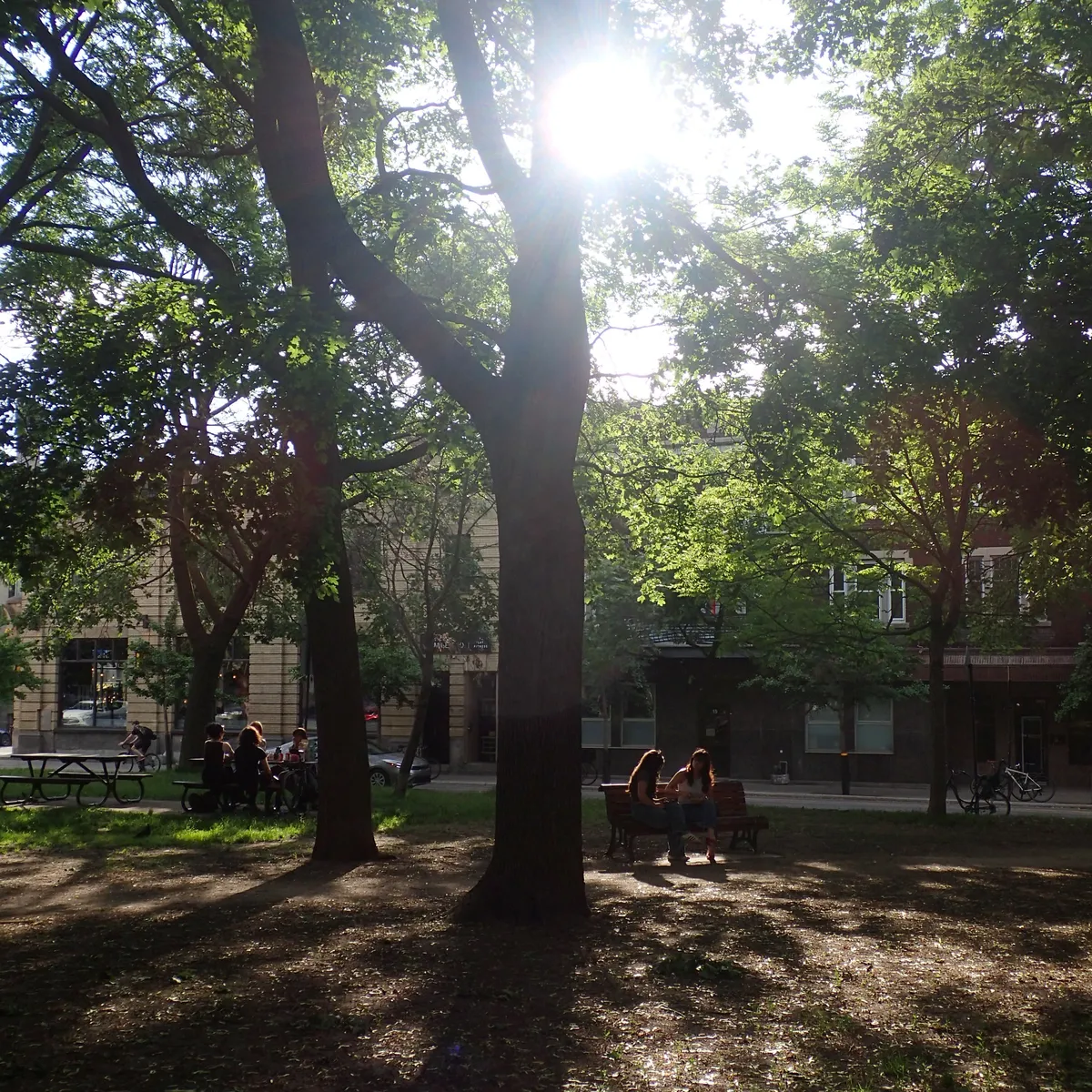 park lahaie chill