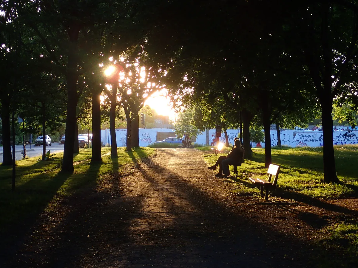 park silhouettes