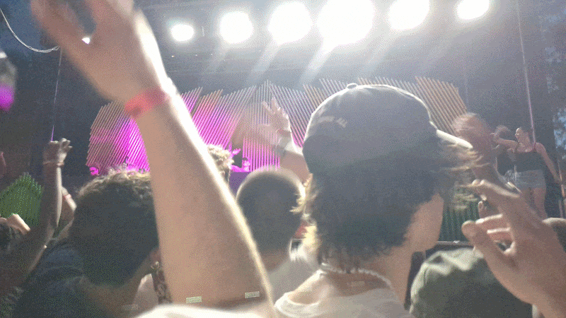 zach fox strobe
