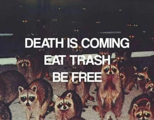 death_trash_free