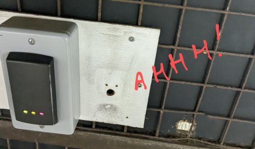 pareidolia