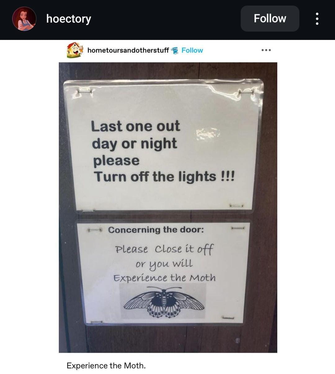 experience_the_moth
