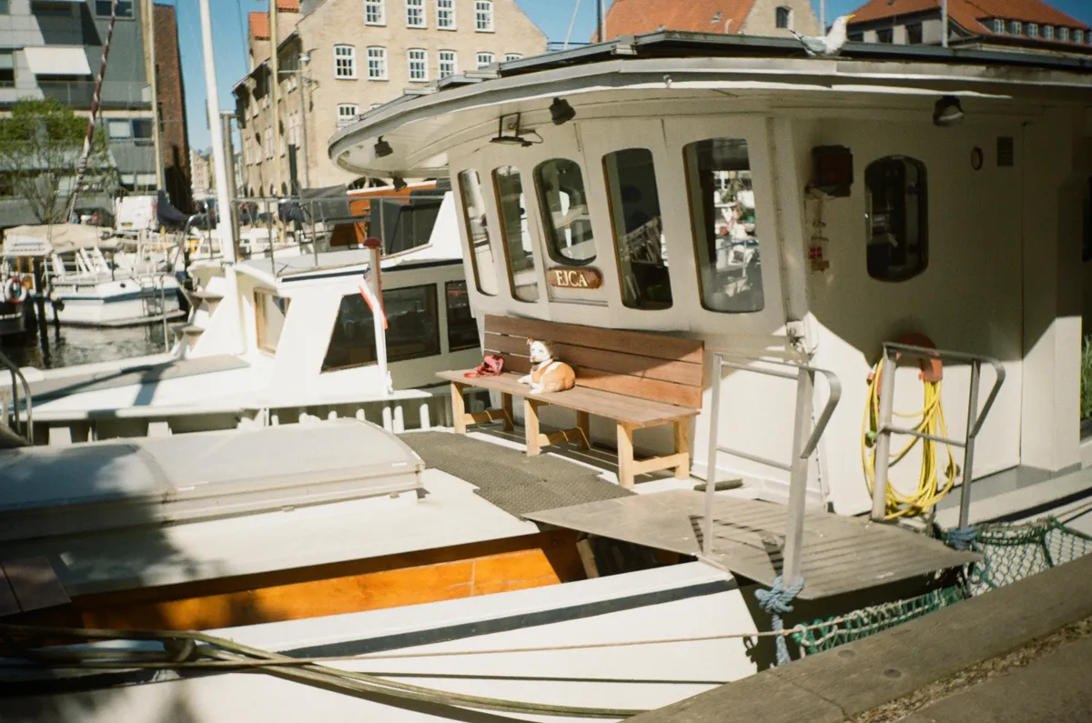 A photo of a boat, docked in a busy harbour with many other boats in the background. There is a bench on the deck of the boat, against the cabin. There is a small brown and white dog sitting on the bench. Above the bench is a gold sign that says Eica