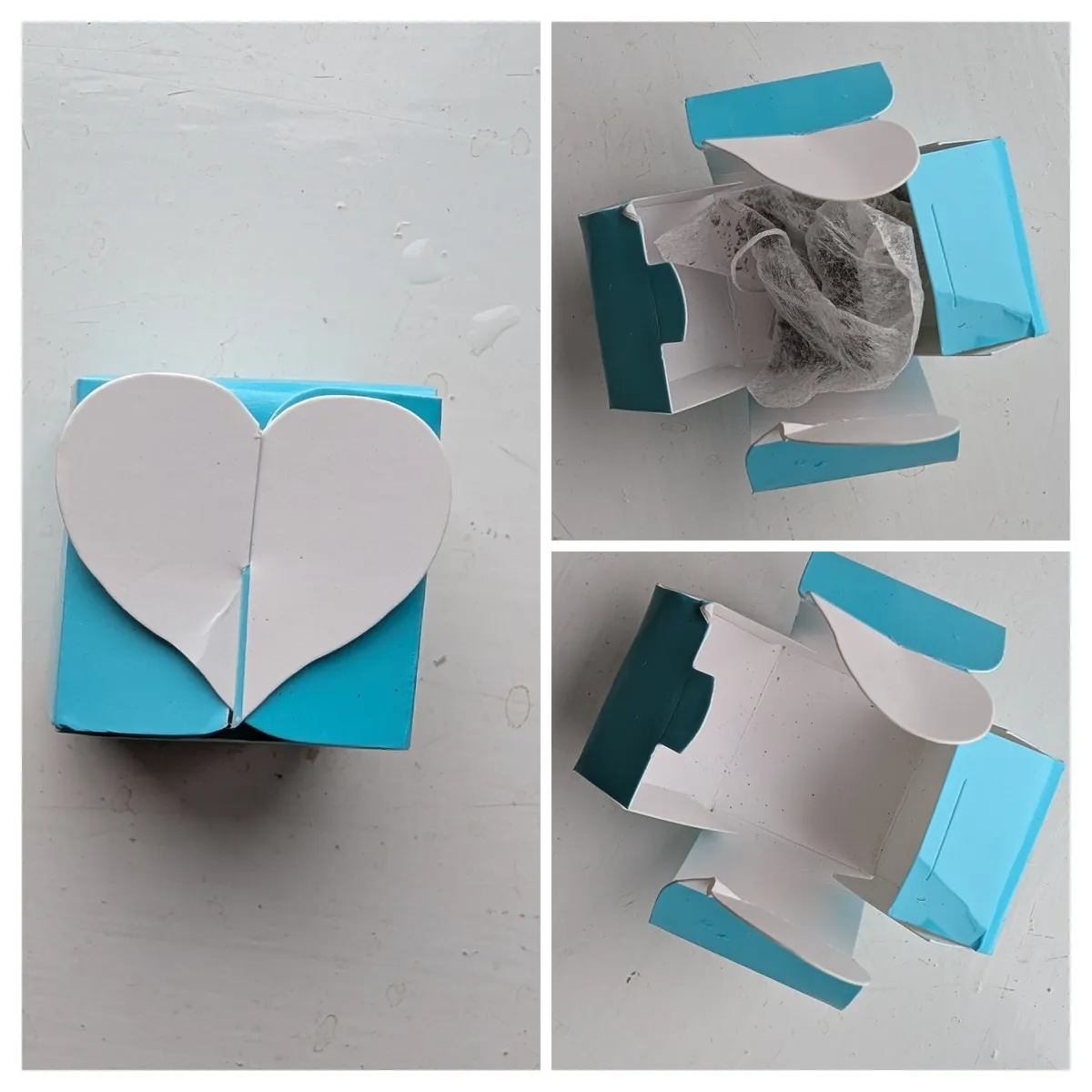 20260203_110557-COLLAGE