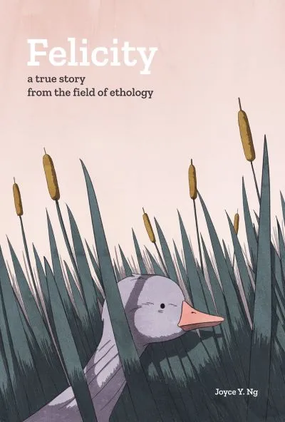 Felicity+(Cover)