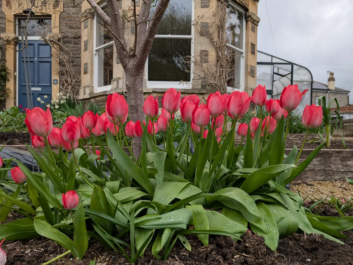 PXL_20260327_145933443