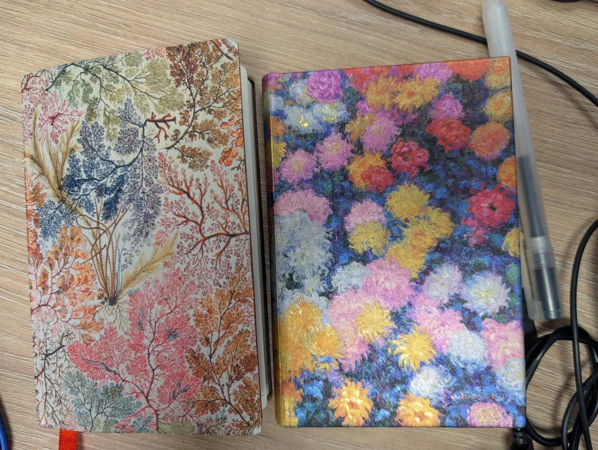 PXL_20251110_104358840