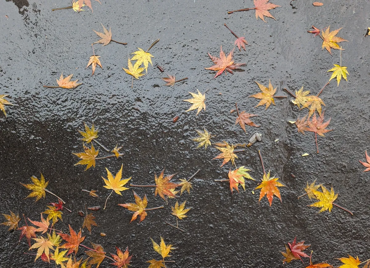 PXL_20251114_130007455