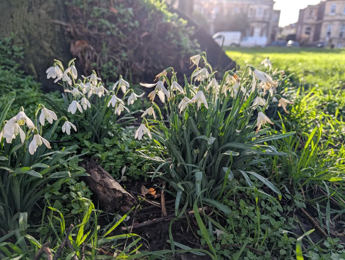 PXL_20260215_150731517