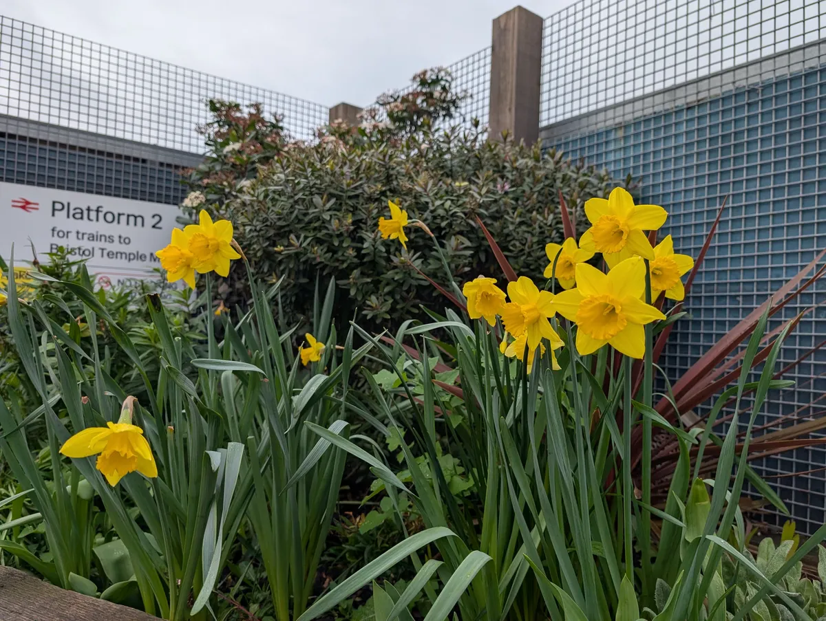 PXL_20260301_103235358