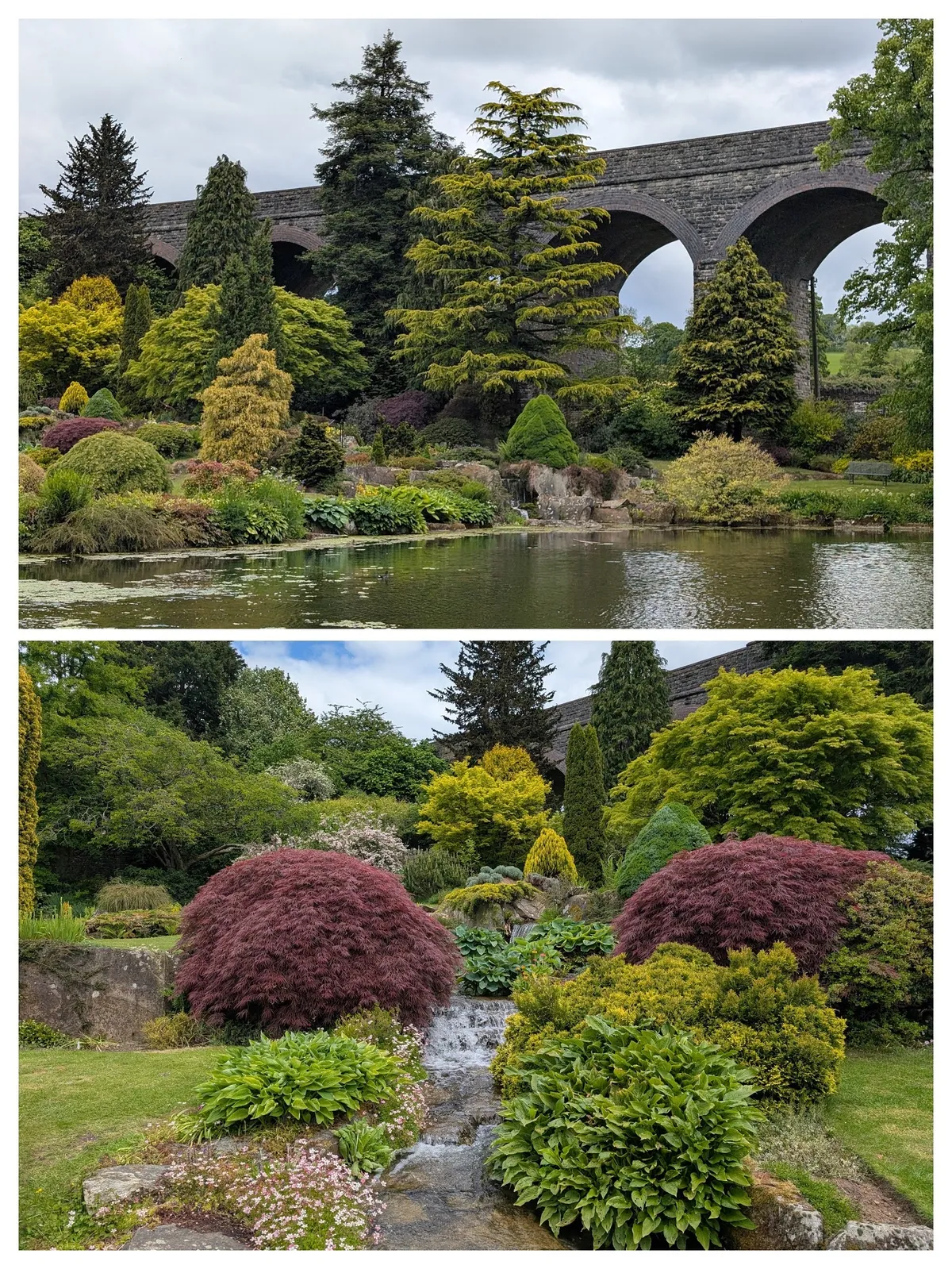 PXL_20260515_111407681-COLLAGE