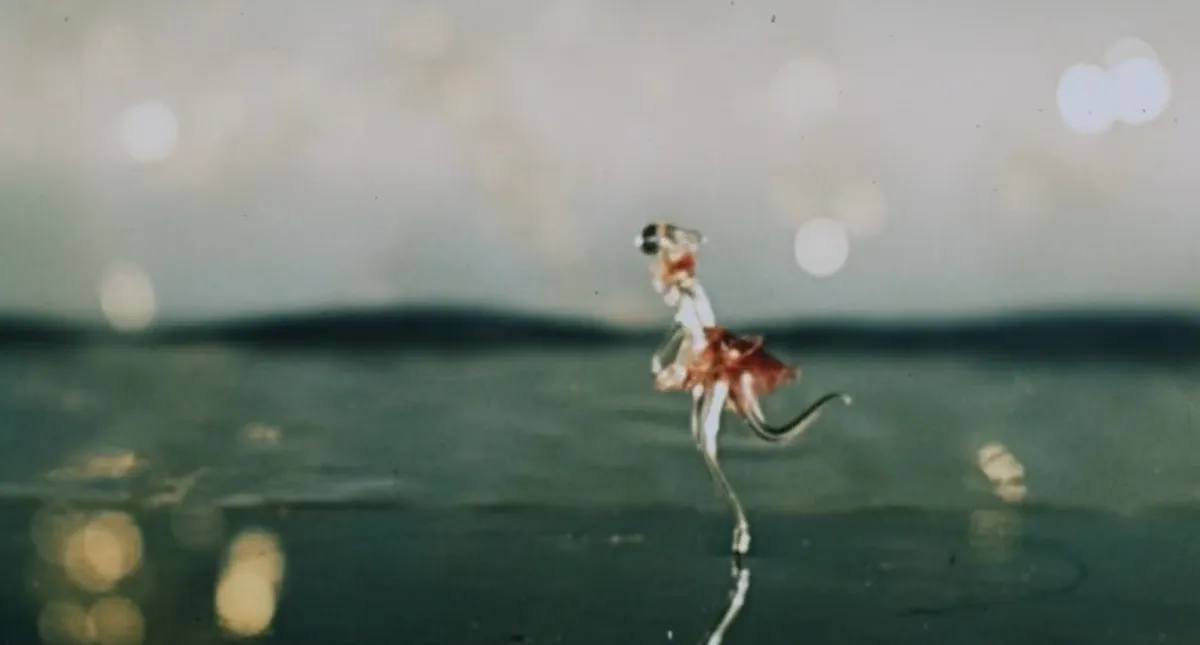 Screenshot 2026-01-11 144758