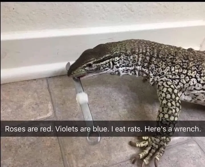 monitor lizard poem