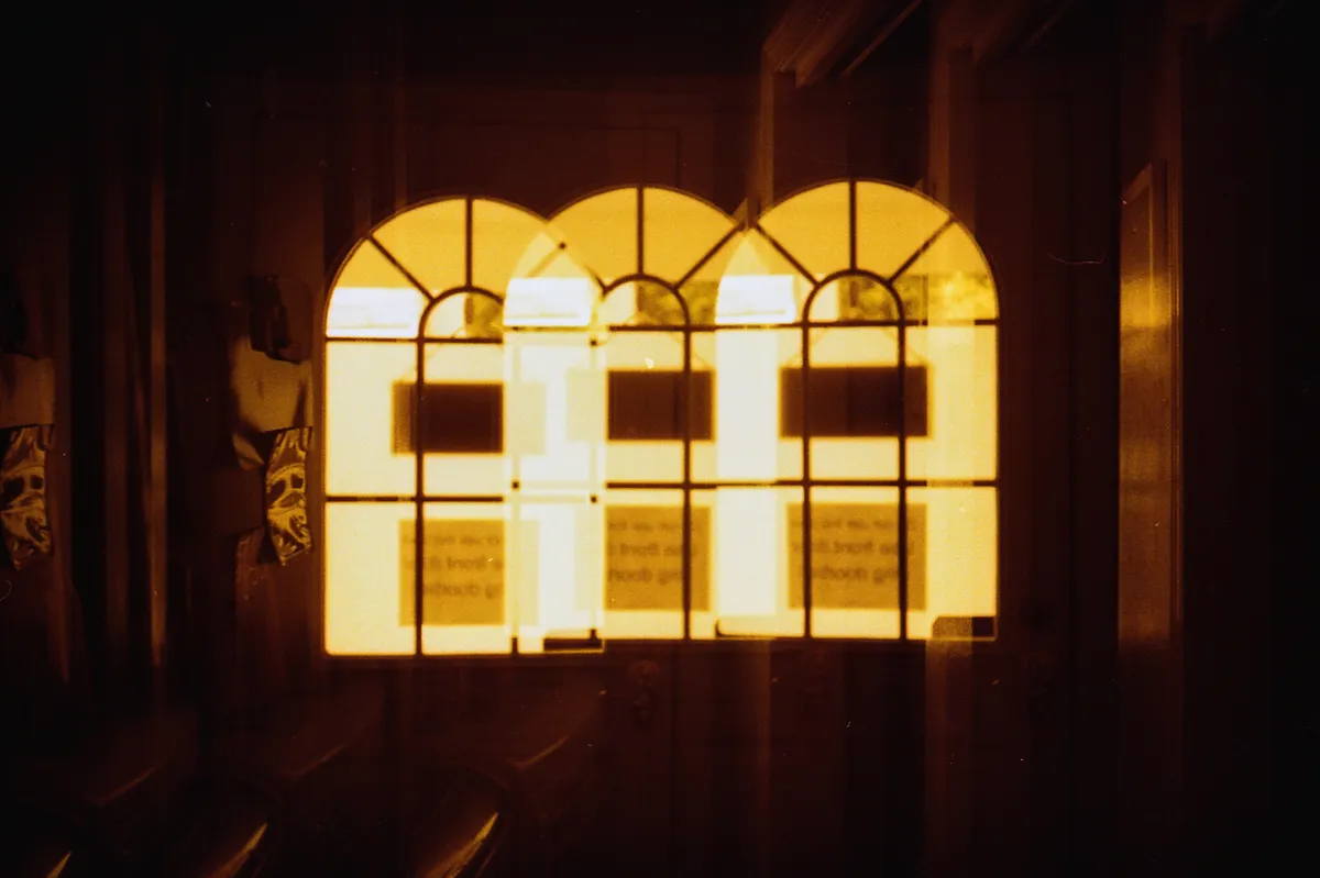 redscale_mca 13