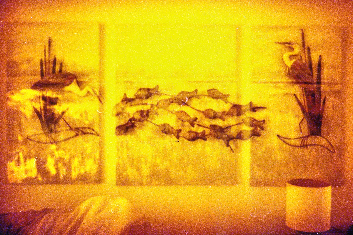 redscale_mca 4