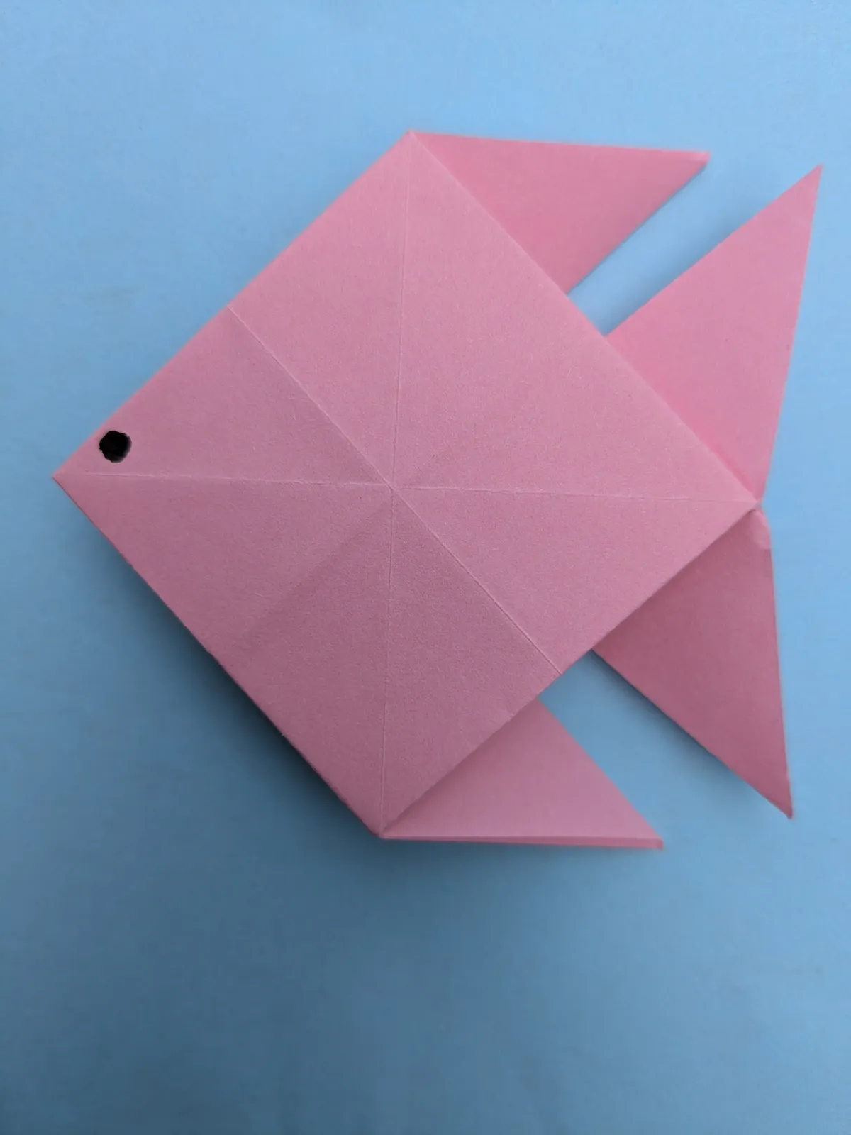 PXL_20250307_161739421