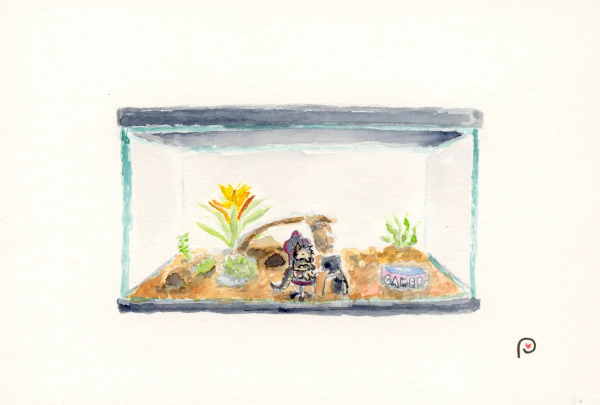 7_damiencomm_resized