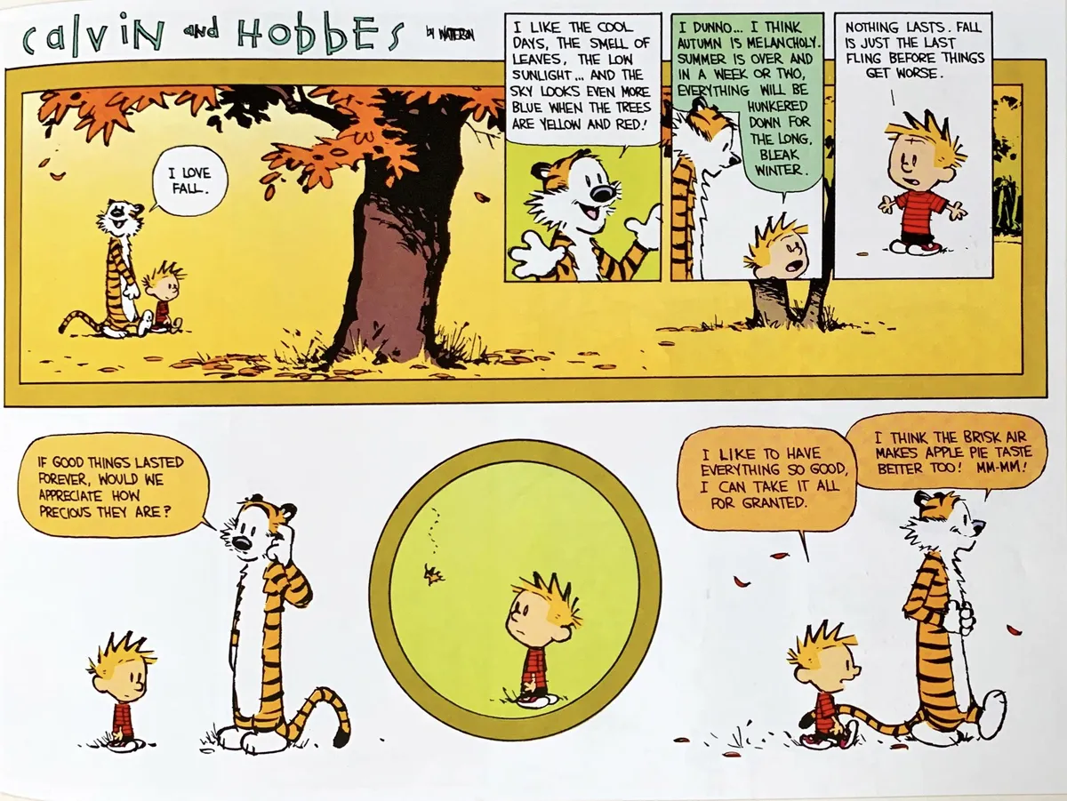 Calvin and Hobbes