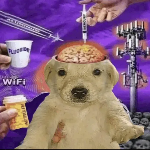 brain-surgery-gtfo