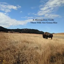 These Hills Are Gonna Rise (250)