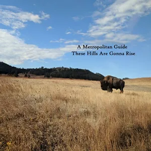 These Hills Are Gonna Rise (cover 300)