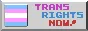 trans rights now badge