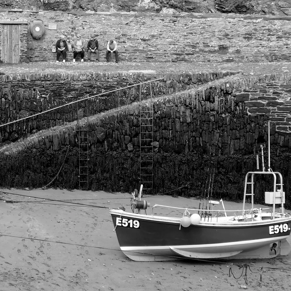 DSC_1906bw