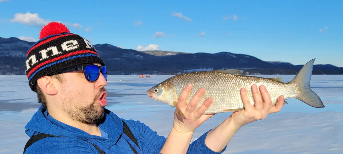 mat-whitefish-contact
