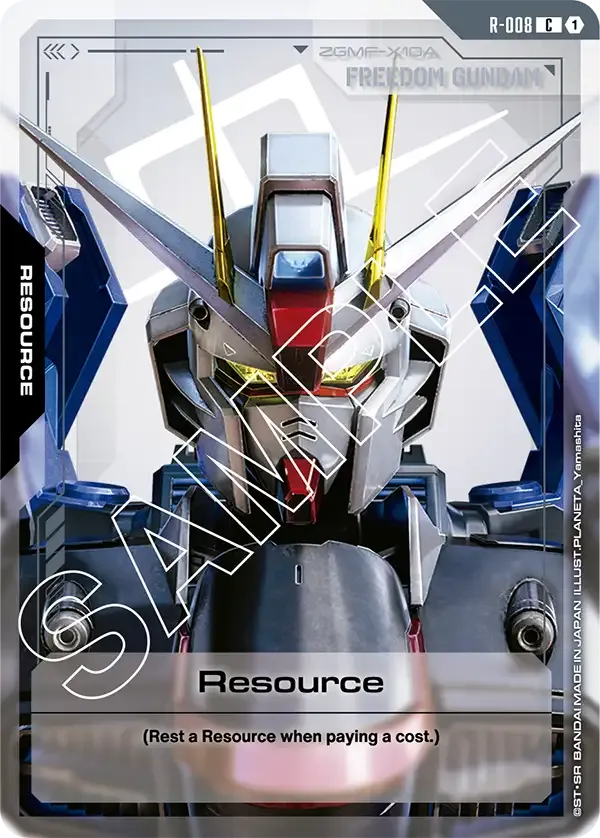R-008 card