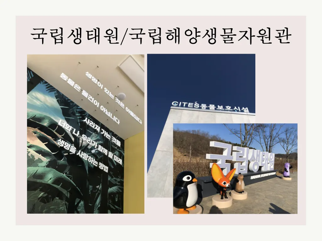 생태도시 서천 자랑하기2