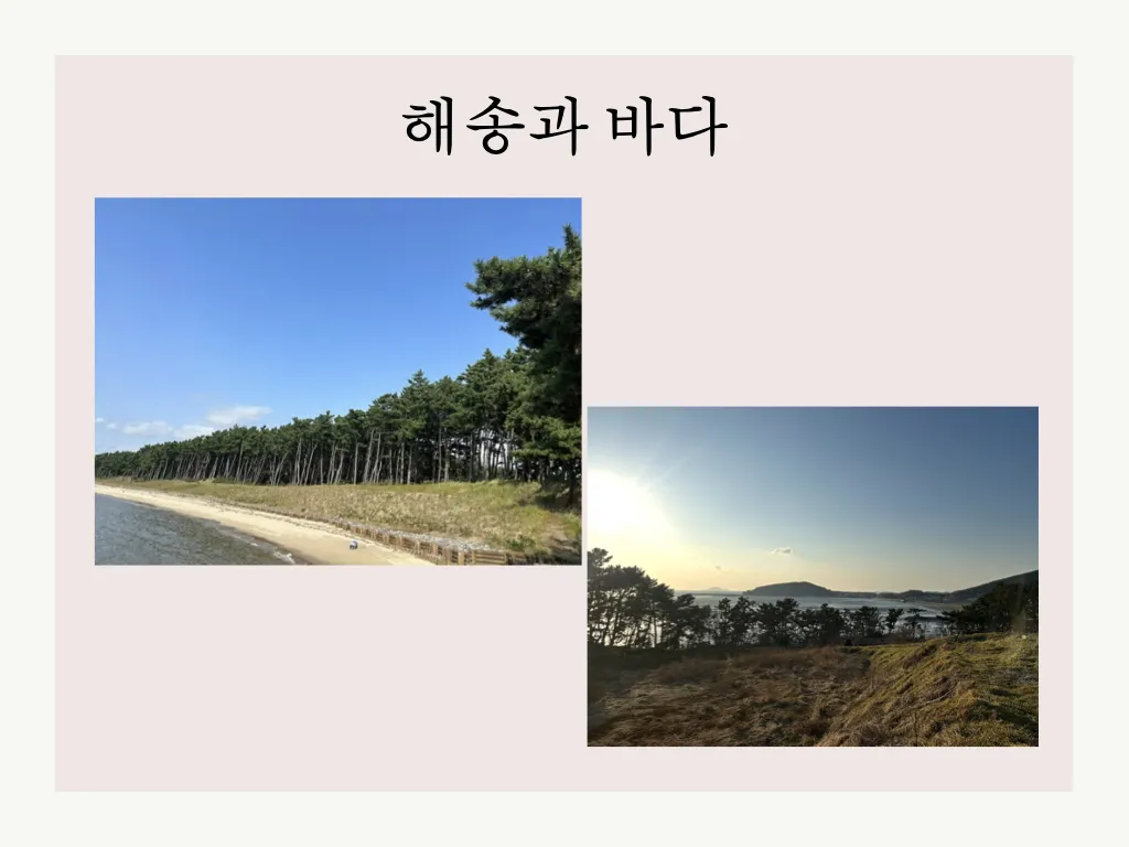 생태도시 서천 자랑하기3