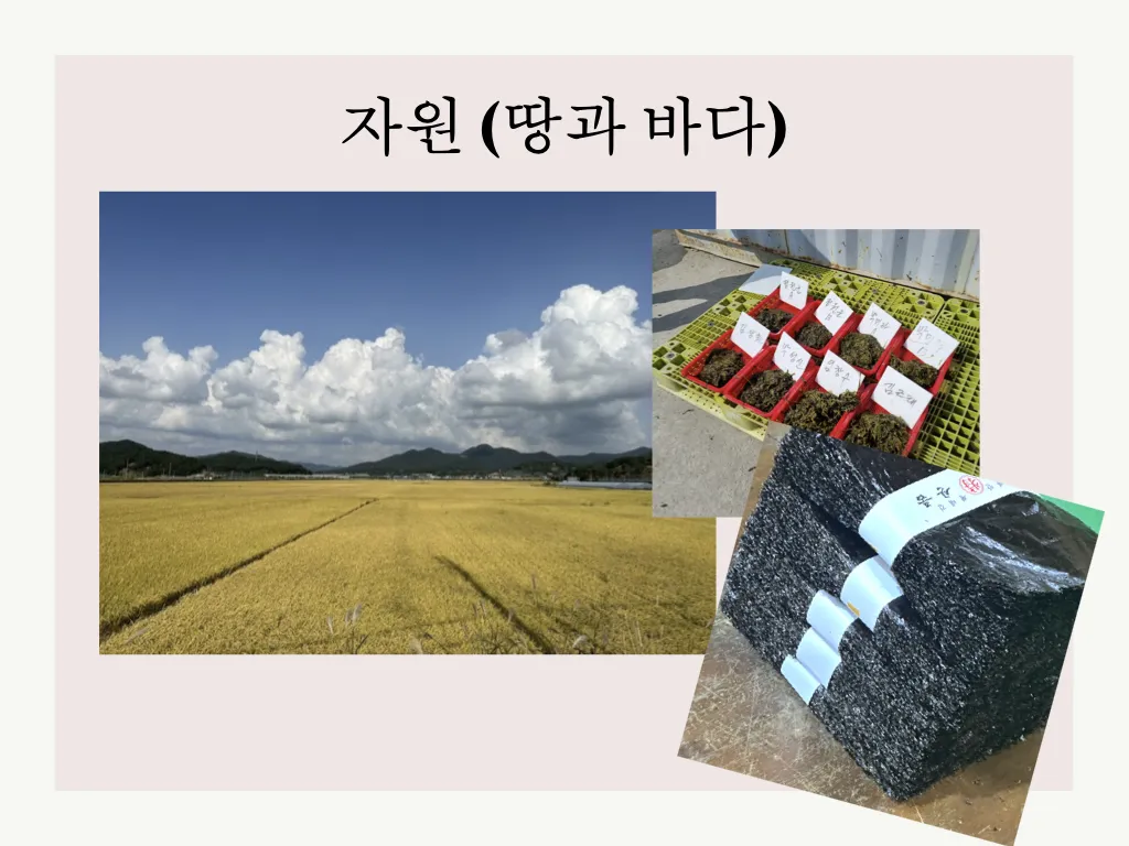 생태도시 서천 자랑하기5
