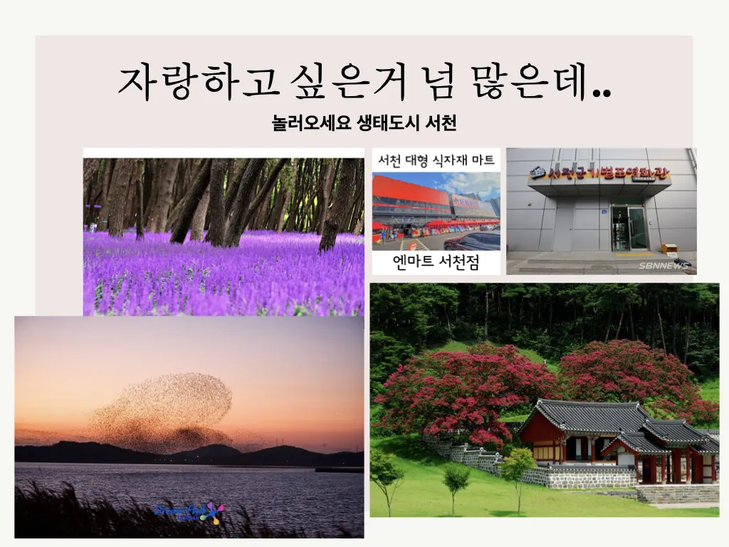 생태도시 서천 자랑하기11