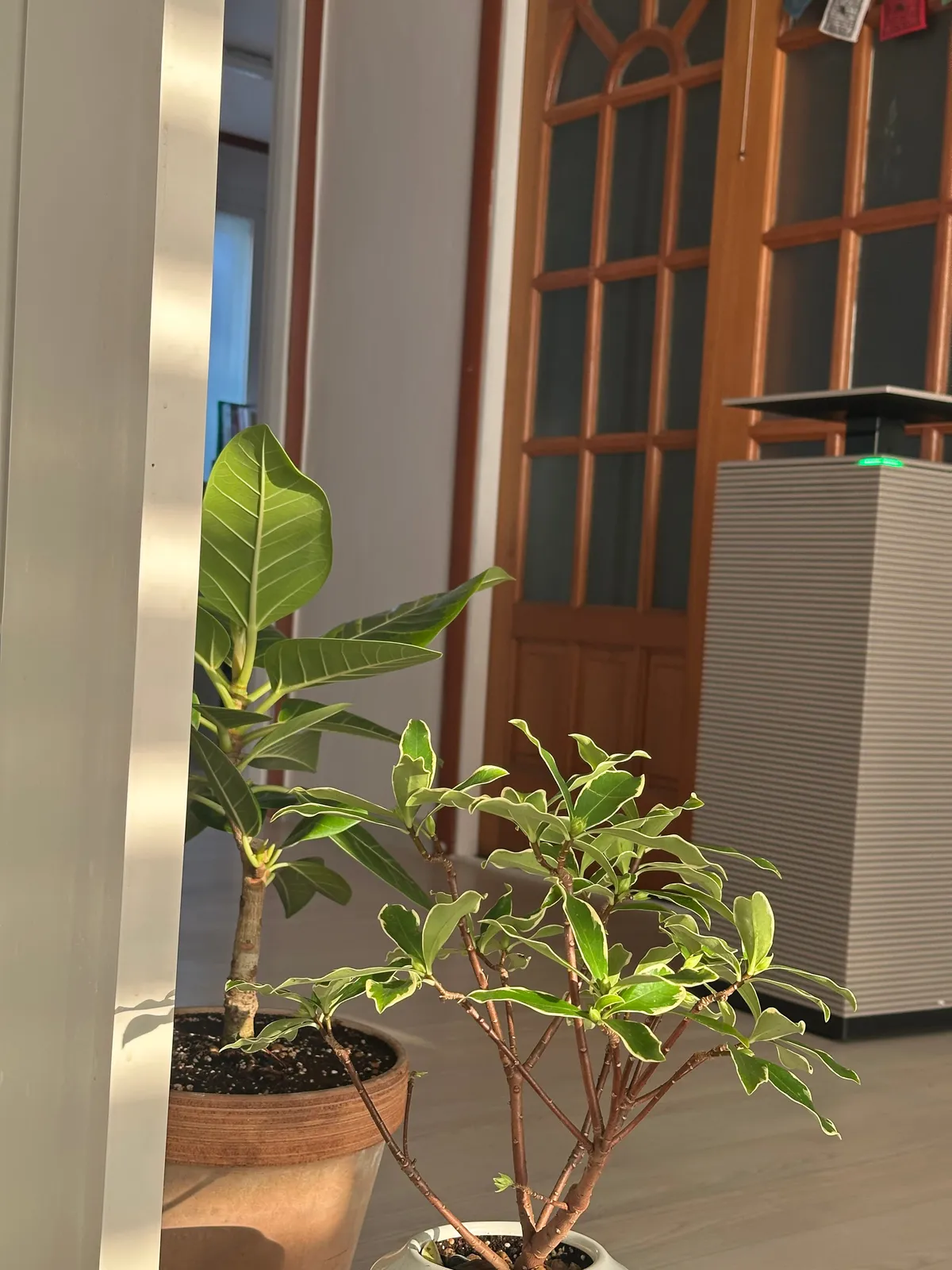 KakaoTalk_20251229_204801815