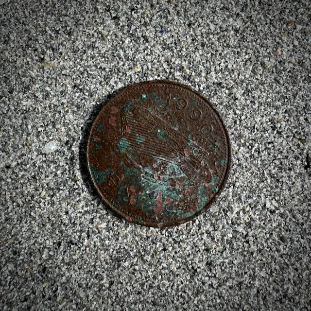 The coin