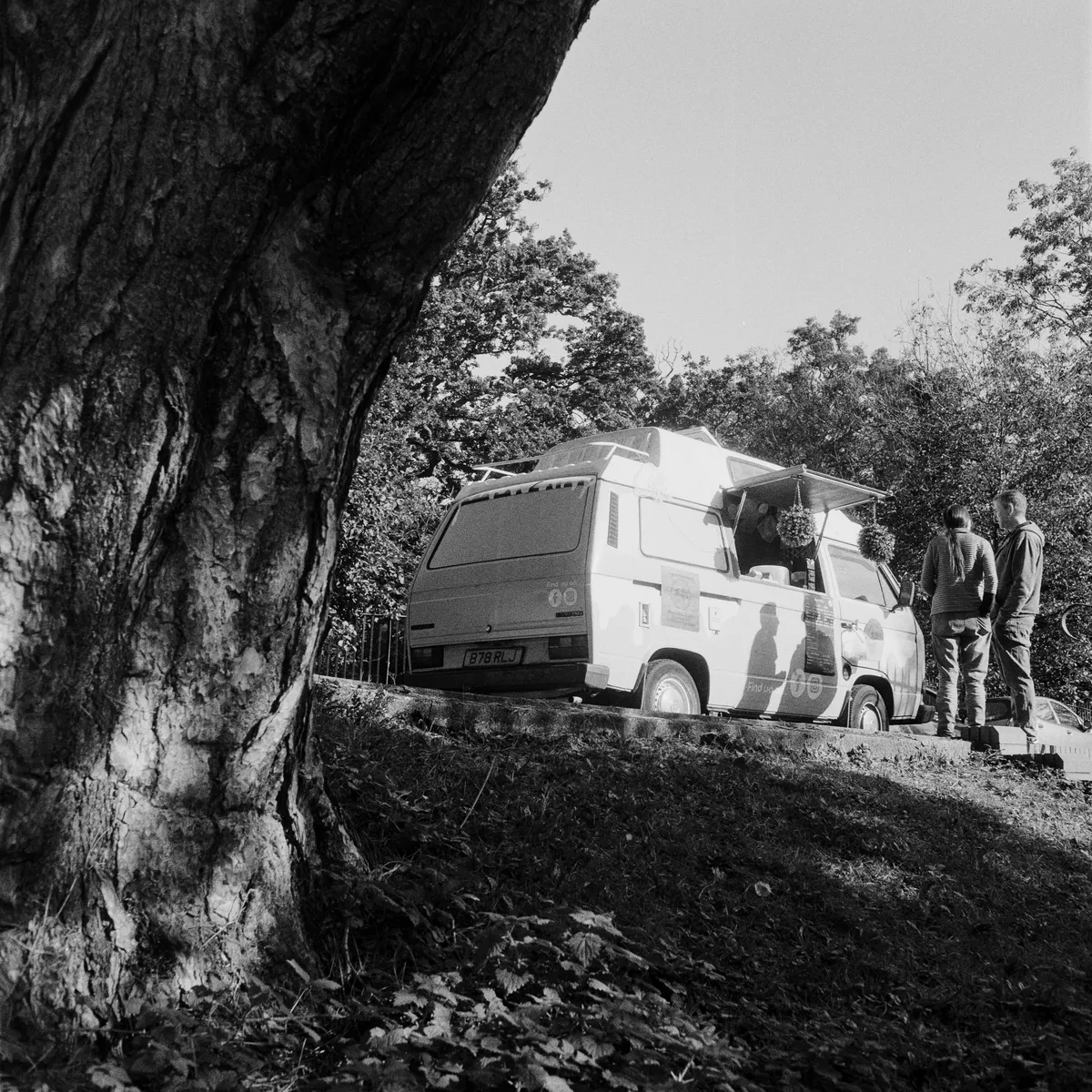 Ilford Delta 3200 pulled to 800, Rolleiflex T