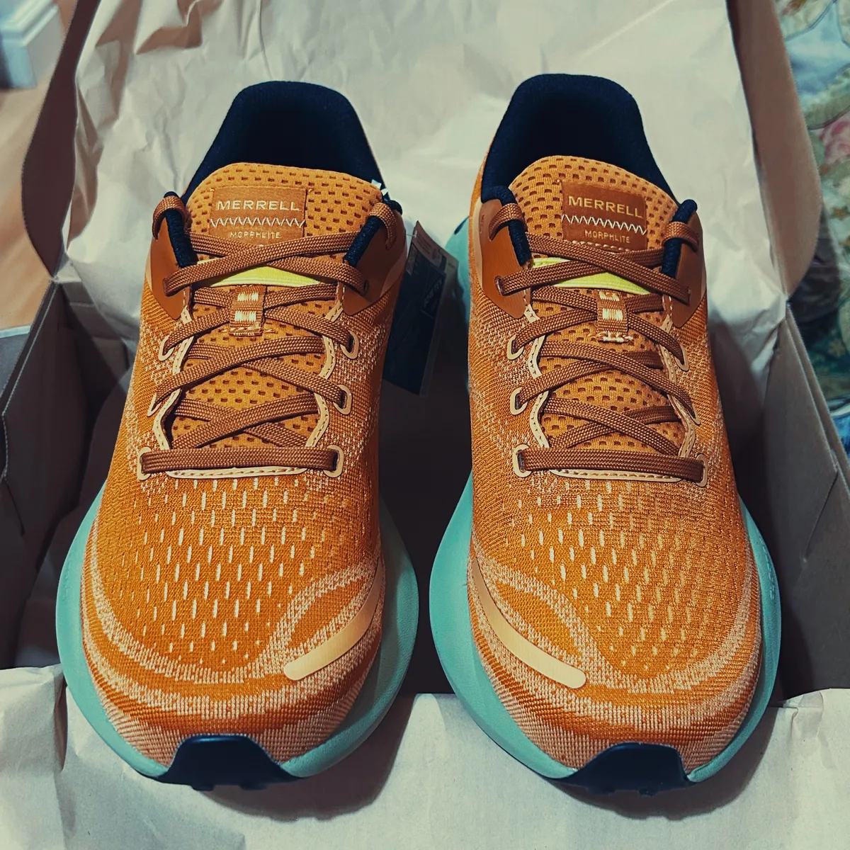 A pair of Merrell Morphlite GTX Trail running shoes