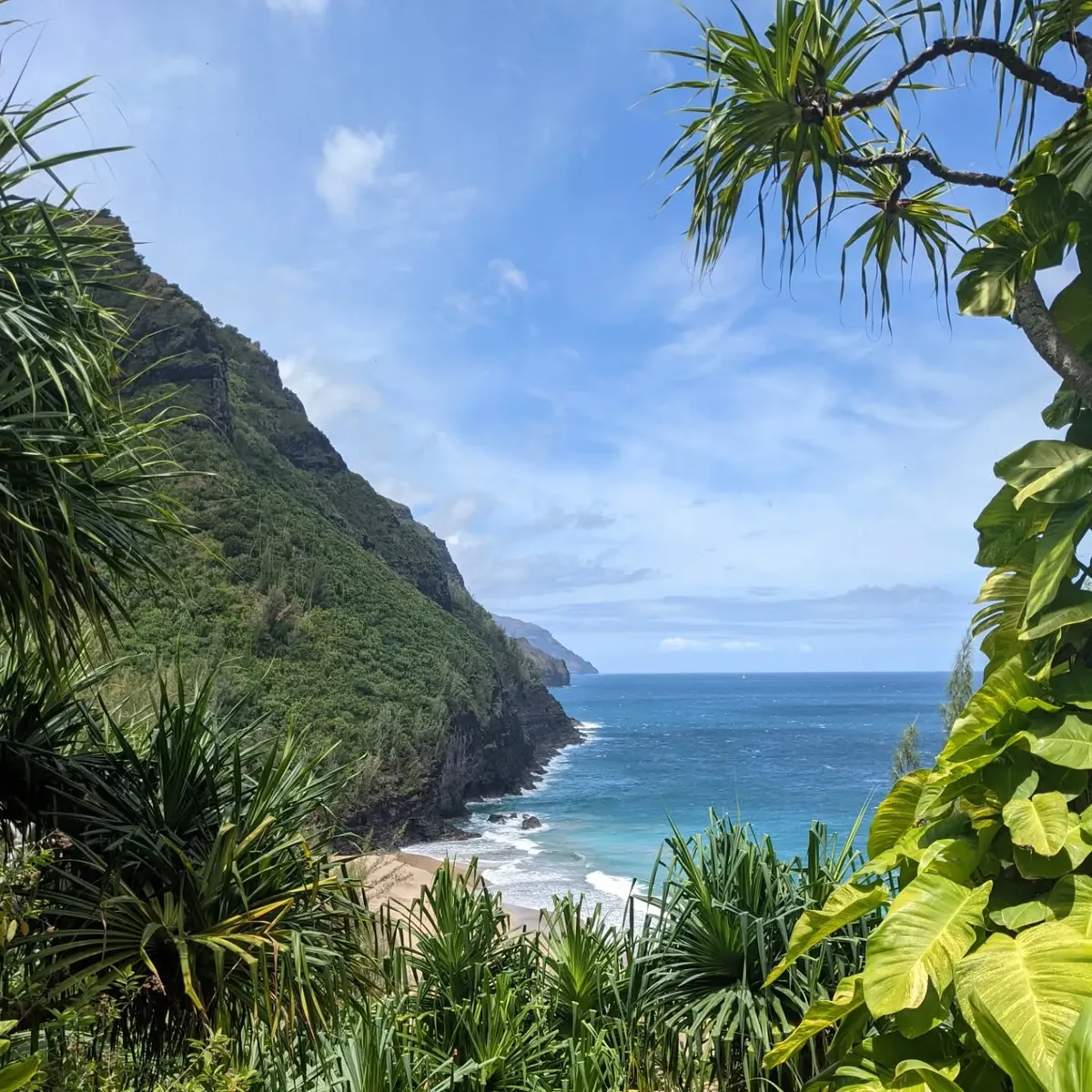 280193557_704879840847611_3193233725137459567_n_17938154911966101