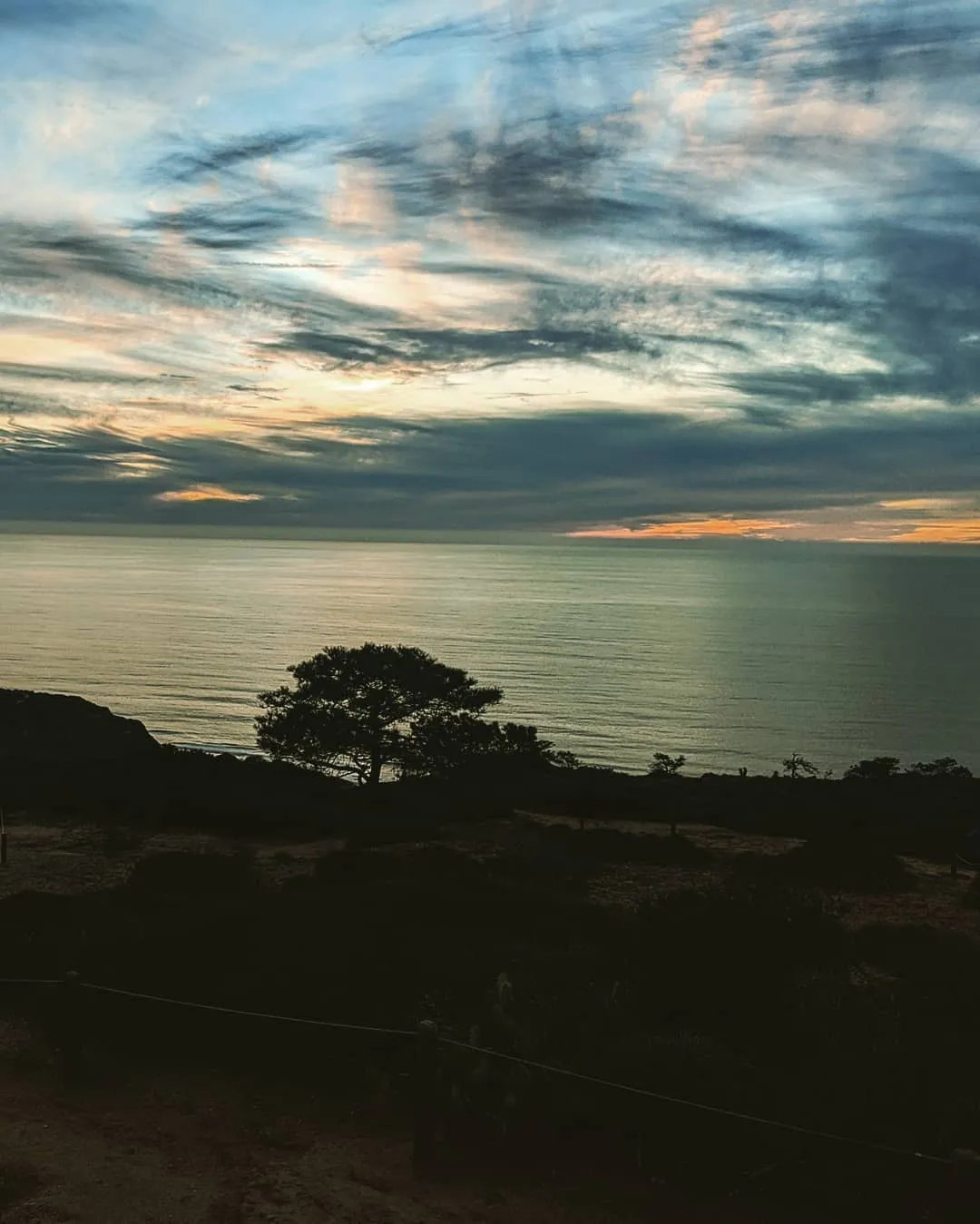 75305435_2741271049260226_7810426828301394630_n_18075144295164081