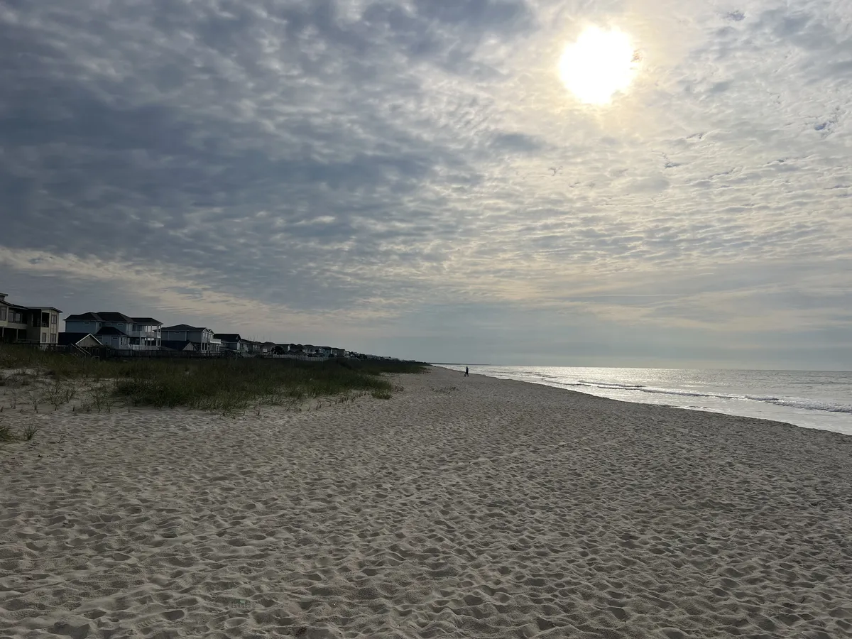 OIB1