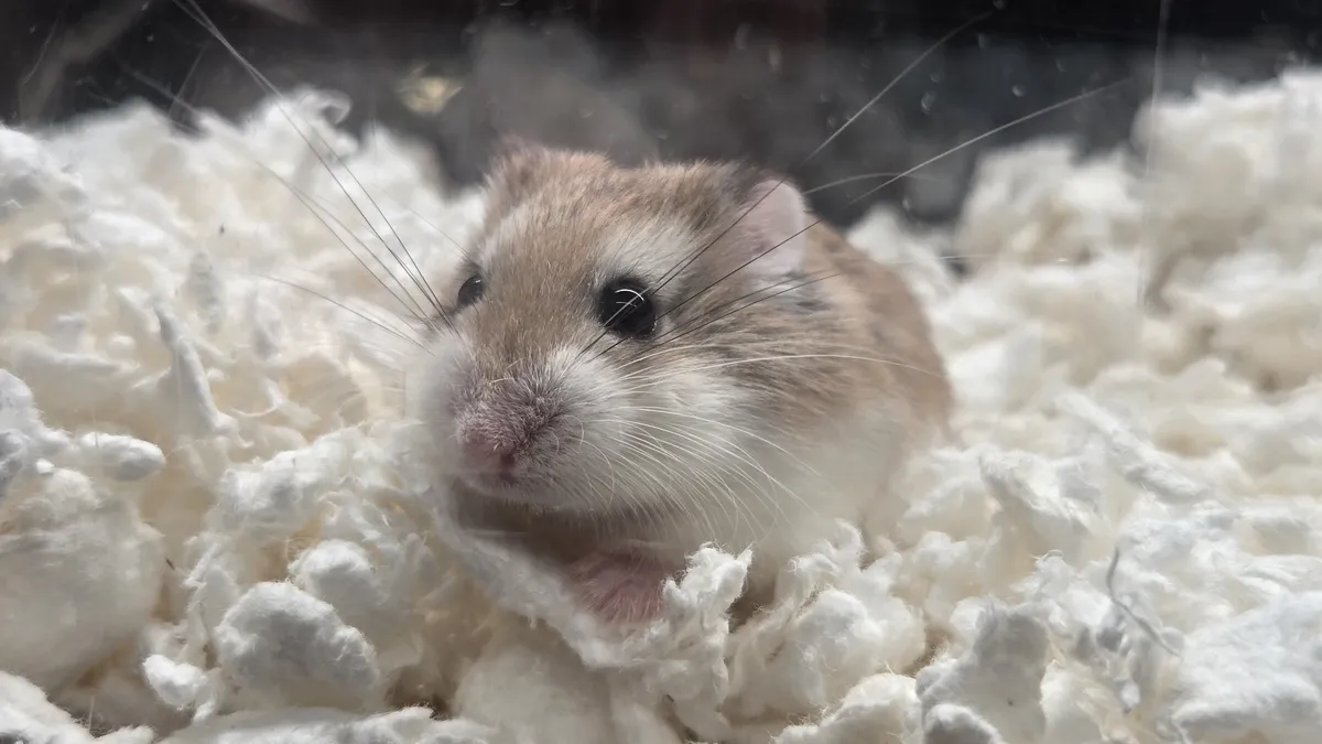 7586F347-2E04-4429-8A8D-AB471F0A20FF