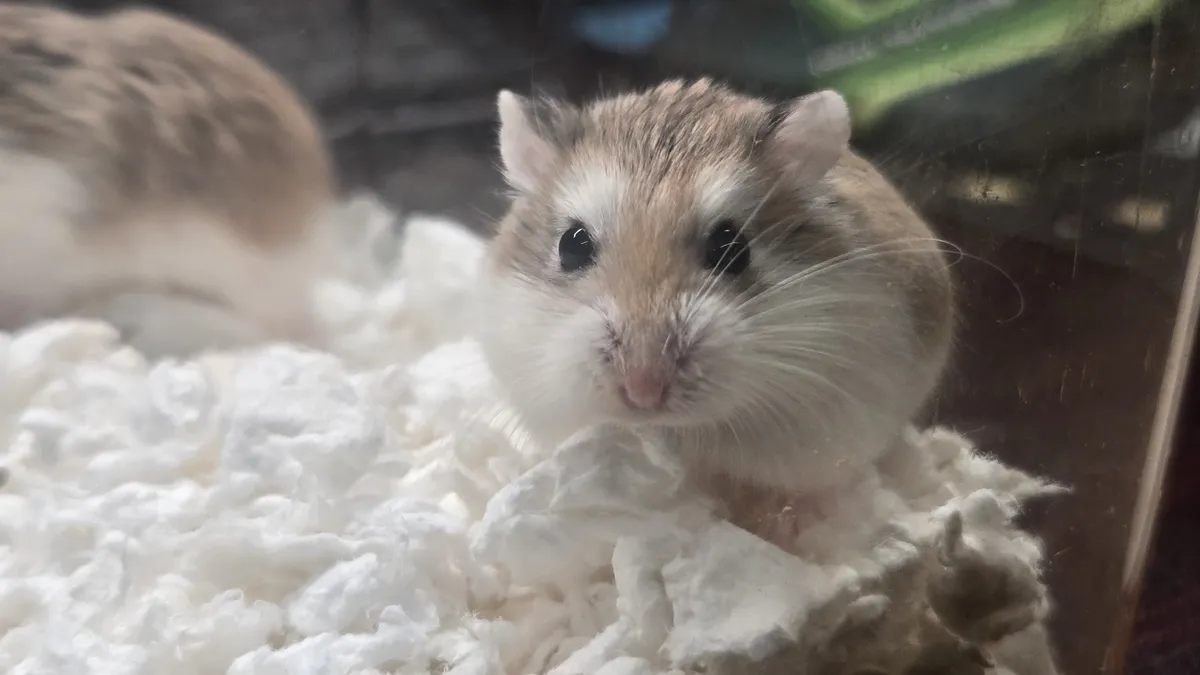 90972F2E-4D8C-46E2-AC85-4B58B8D99F48