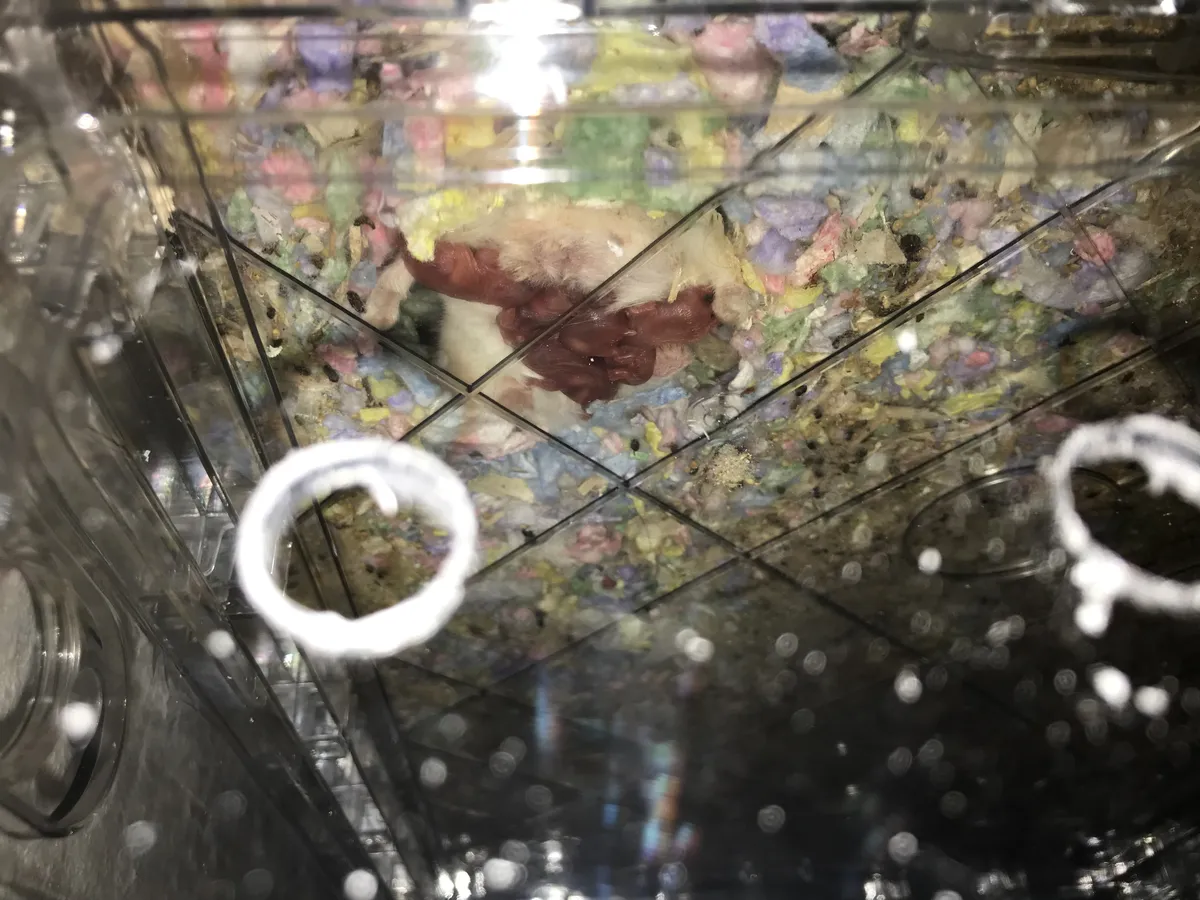 B1059604-F4E0-4E4F-92C1-7D2F5FE71C9C