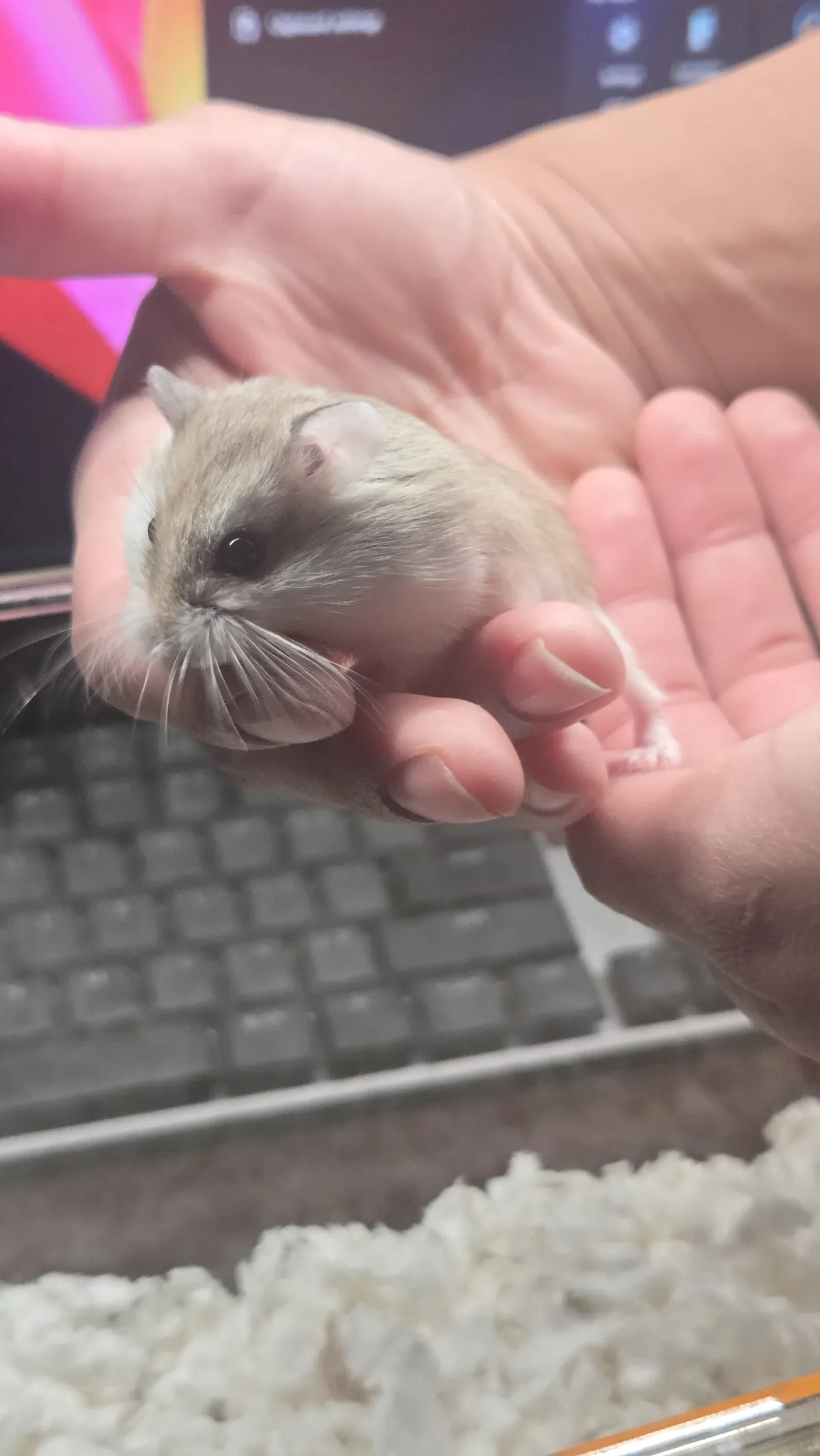 B4B33869-8D1E-45AB-9A10-0953067C540D