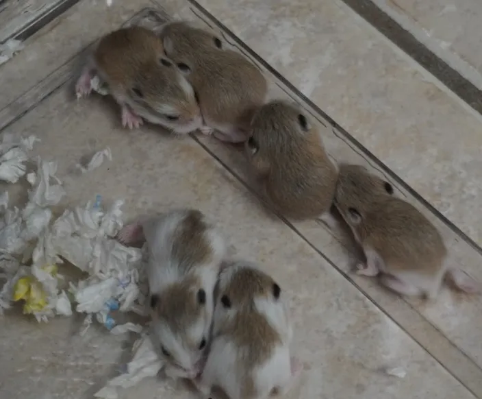 Screenshot from 2025-12-26 21-40-51