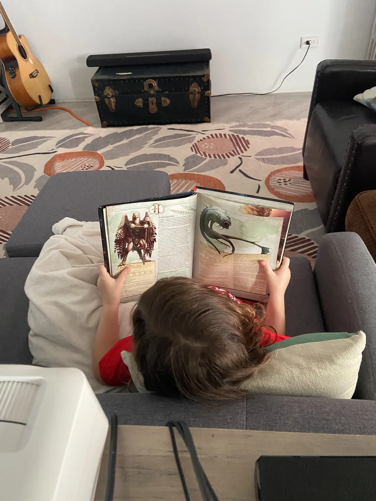 Child reading monster manual