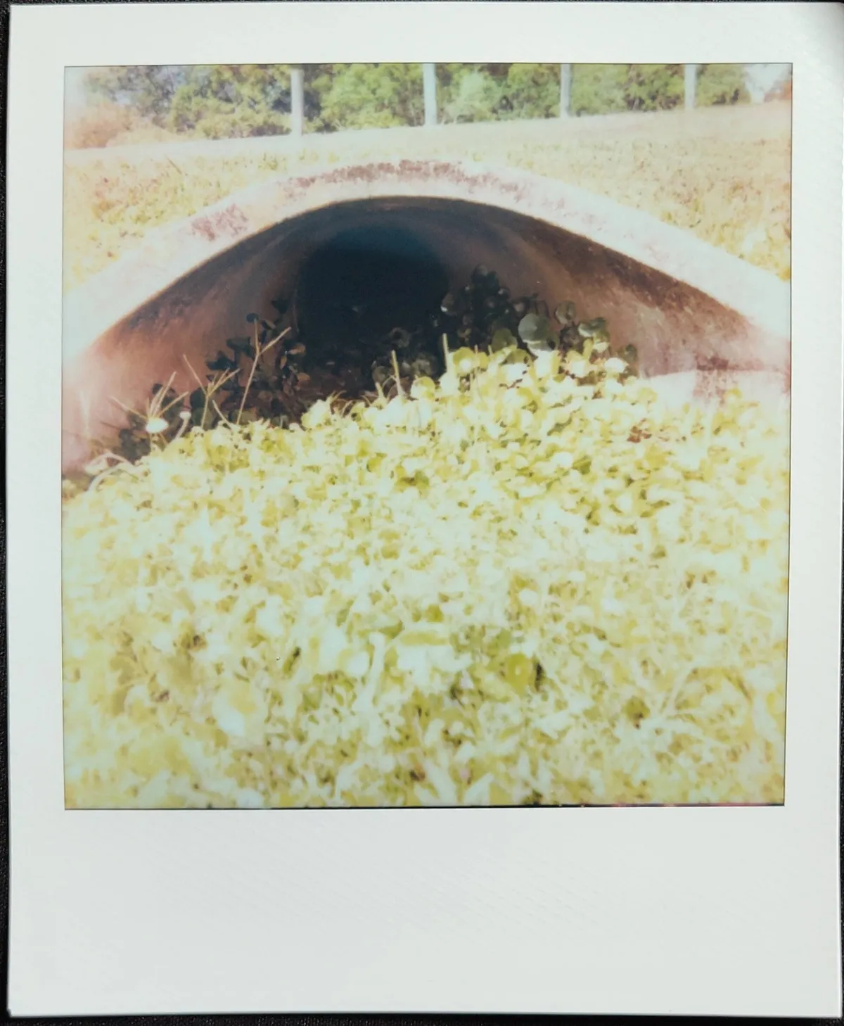 drain